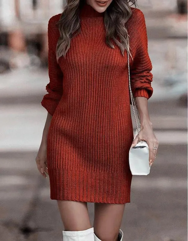 Leisure Plain Turtleneck Sweater Dress